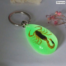 Load image into Gallery viewer, Luminous Scorpion Keychain - New Luminous Product Real Crab and Scorpion Key Chain bag Car key ring #17067