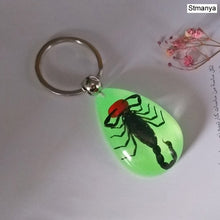 Load image into Gallery viewer, Luminous Scorpion Keychain - New Luminous Product Real Crab and Scorpion Key Chain bag Car key ring #17067