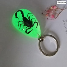 Load image into Gallery viewer, Luminous Scorpion Keychain - New Luminous Product Real Crab and Scorpion Key Chain bag Car key ring #17067