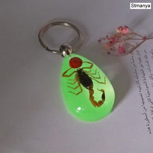 Load image into Gallery viewer, Luminous Scorpion Keychain - New Luminous Product Real Crab and Scorpion  Key Chain bag Car key ring #17067
